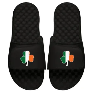 Shamrock Flag Slides