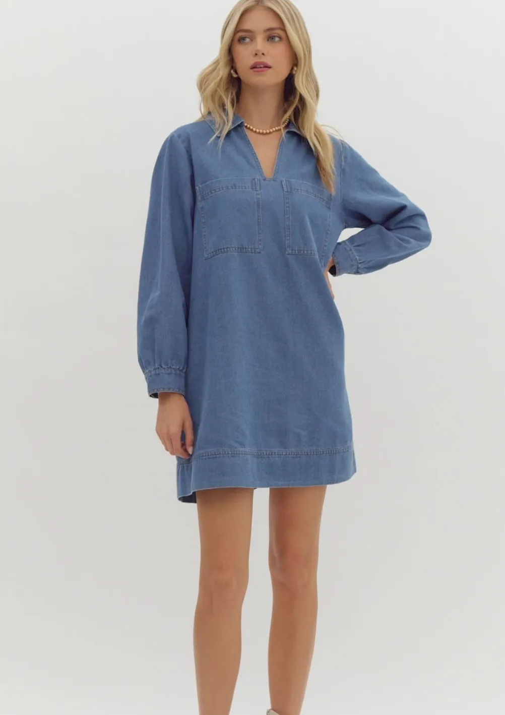 Zane Denim Long Sleeve Dress