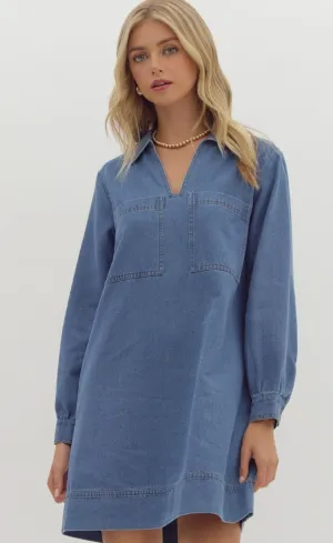 Zane Denim Long Sleeve Dress